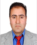 Prof. Parvez  Ahmad Mir